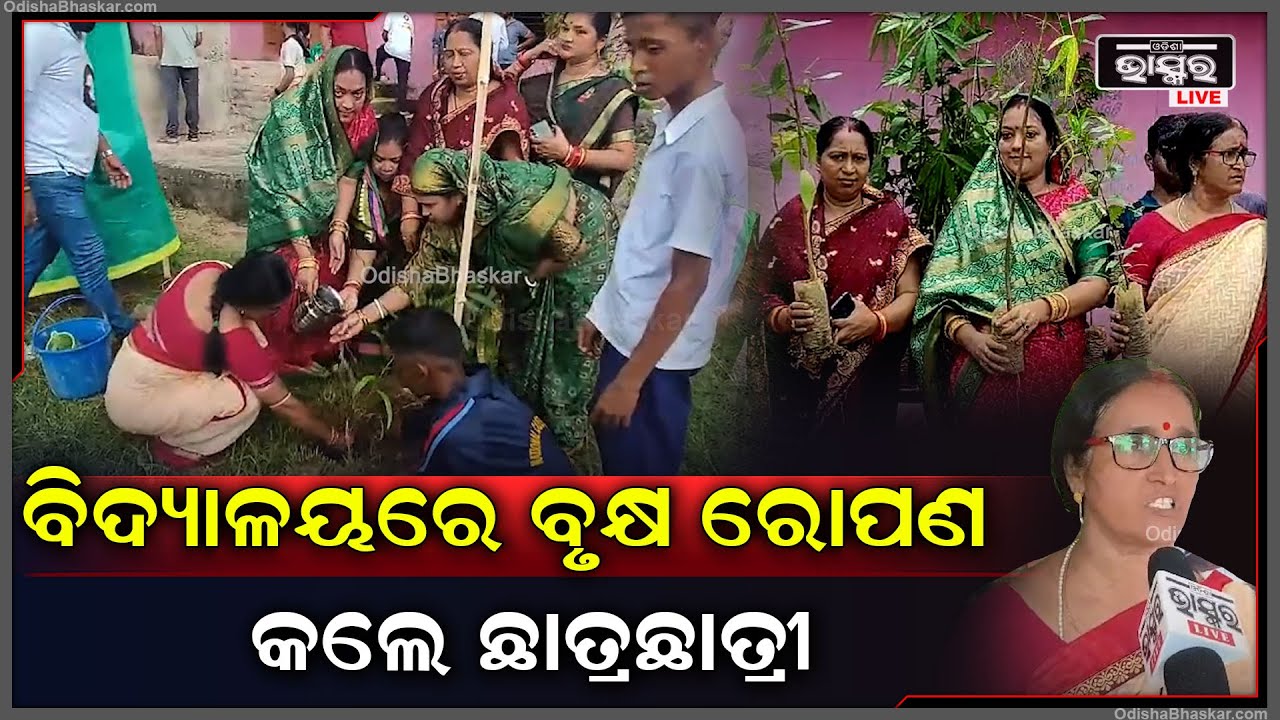 ସ୍ୱଛତା ପକ୍ଷ୍ୟ କାର୍ଯ୍ୟକ୍ରମ ଅବସରରେ ପରିବେଶ ସୁରକ୍ଷା ପାଇଁ ବିଦ୍ୟାଳୟରେ ବୃକ୍ଷ ରୋପଣ କଲେ ଛାତ୍ରଛାତ୍ରୀ