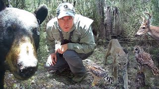 Tim Harrell - Swamp Trail Camera Pickup