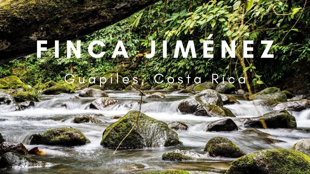 Finca Jiménez
