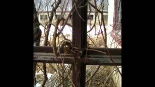 Abandoned Connecticut (Connecticut Urban Exploration)