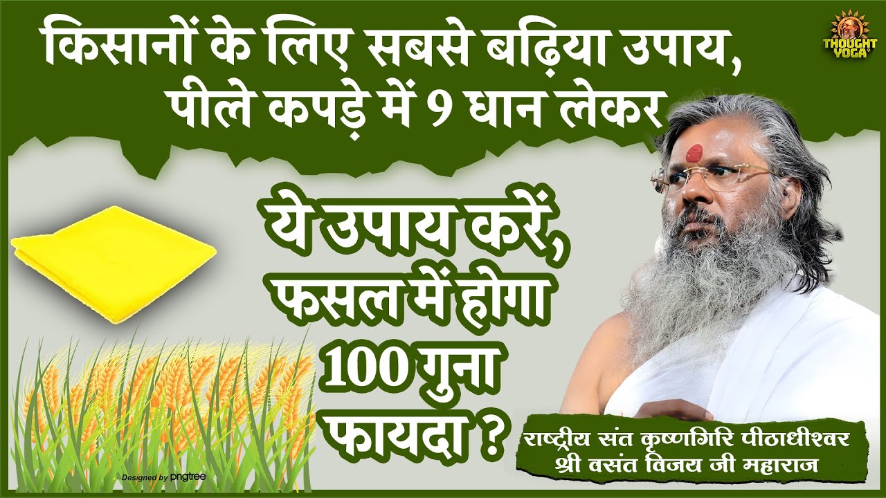 किसानों के लिए सबसे बढ़िया उपाय, पीले कपड़े में 9 धान लेकर ये उपाय करें, फसल में होगा 100 गुना फायदा