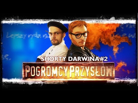 Wideo: 77 Przysłowów i powiedzeń Cat