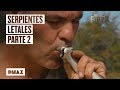 Así es el encuentro de Wild Frank con las serpientes más peligrosas del mundo | Parte 2 | Wild Frank