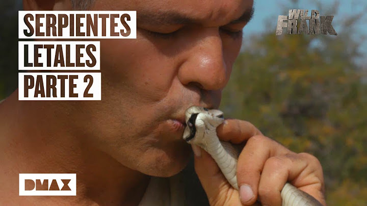 Así es el encuentro de Wild Frank con las serpientes más peligrosas del mundo | Parte 2 | Wild Frank