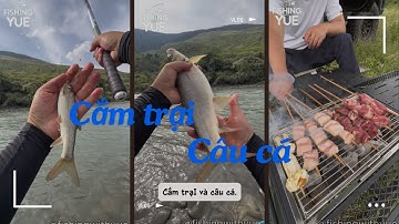 Cắm Trại Bên Bờ Sông + Câu Cá – Dựng Trại Xong Là Đi Câu Ngay! | Fishing with Yue