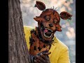Five Night's at Freddy's 4 Night 8 PLEASE FOXY I NEED THIS!!! MY CHAT IS KIND OF HOMELESS part 2