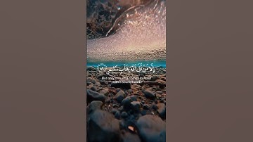الشيخ محمد اللحيدان سورة الشعراء الايه 88 و89