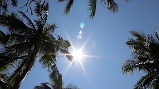 Surfing Ixtapa Mexico