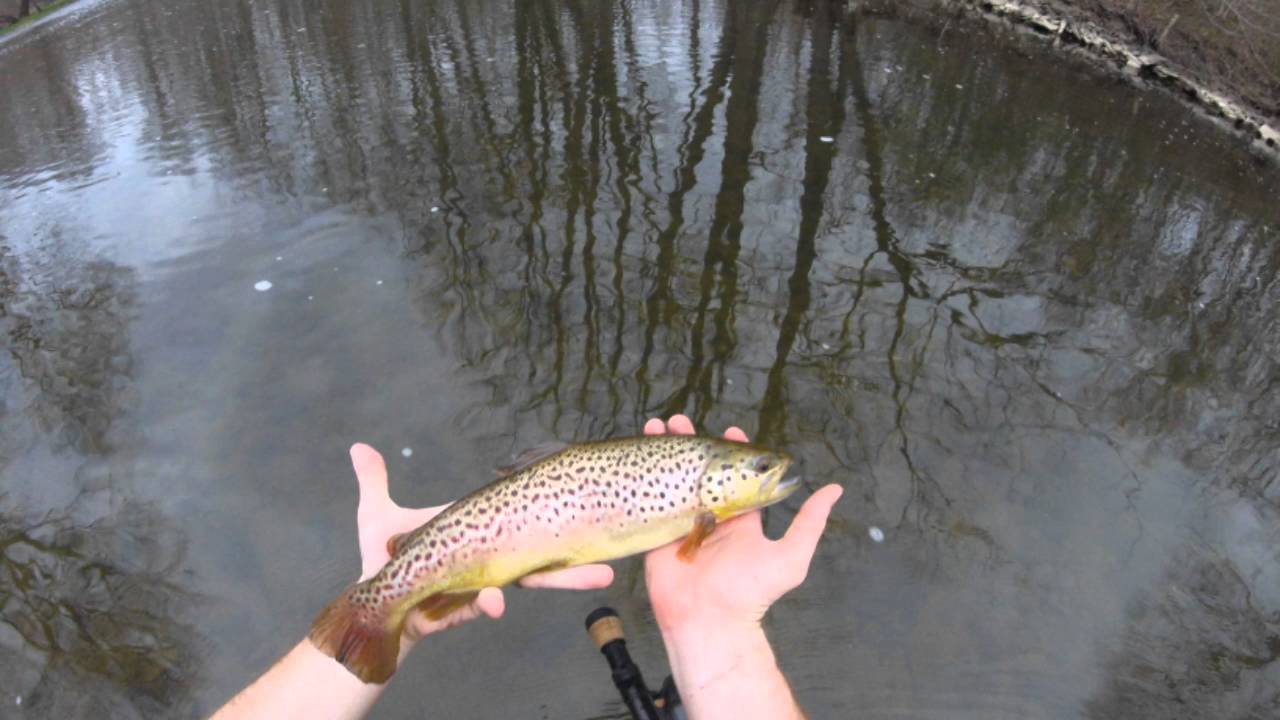 Oatka Creek Hatch Chart