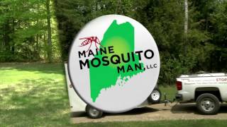 mosquitoman