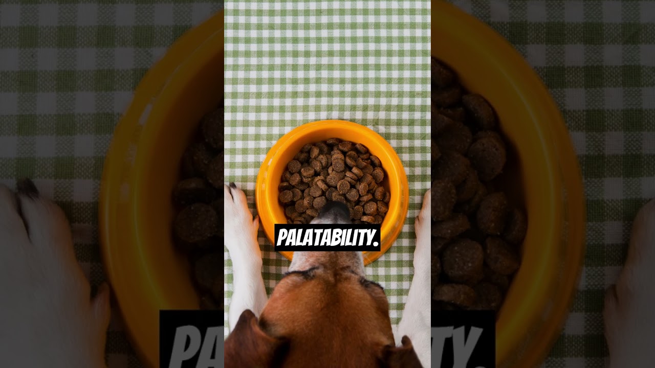 Unbelievable Jobs You Won't Believe Exist Around the Globe!