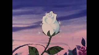 232 am x Roses (slowed + reverb 528 Hz)