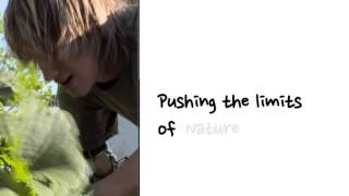 Pushing The Limits When The Killings Done