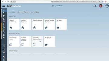 SAP Business ByDesign - GSA Rates Integration for Expense Reports