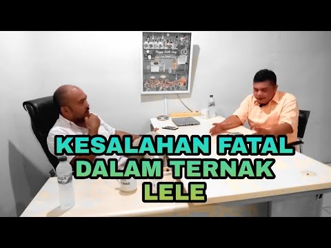 KESALAHAN FATAL DALAM TERNAK LELE UNTUK PEMULA YANG MAU MULAI BERBISNIS