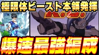 Use Extreme Beasts to complete laps at lightning speed! | Dokkan