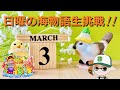 早いもので３月ですね🍀【CRスーパー海物語IN沖縄4】#ポイ活 #パチンコ #ぱちんこ #海物語 #沖海 #game #ライブ #shorts #short #縦型配信 #asmr