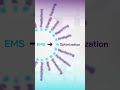 AI-Powered Energy Monitoring | Real-Time Insights, Smart Alerts &amp; Optimization