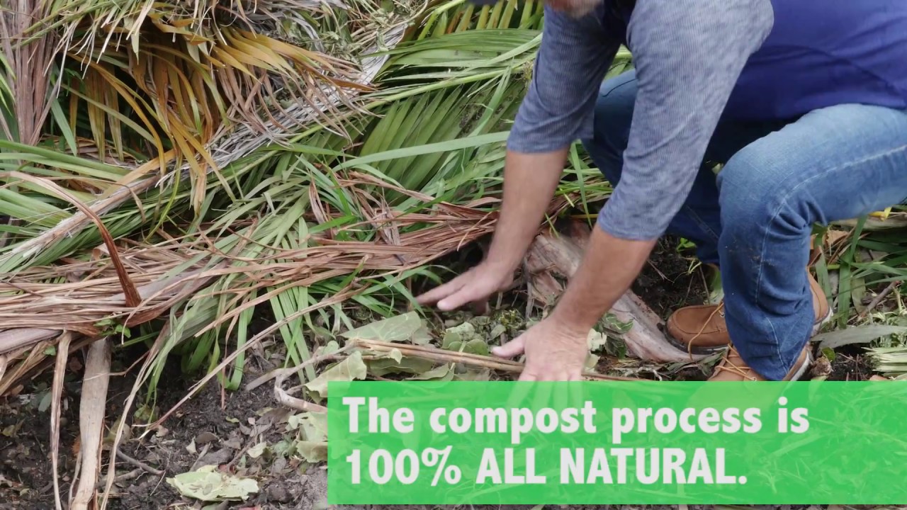 W's Tree Farm, Davie, Florida 33314 / 30second sizzler YouTube