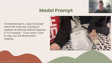 SPCE 683 Prompting Hierarchy Presentation