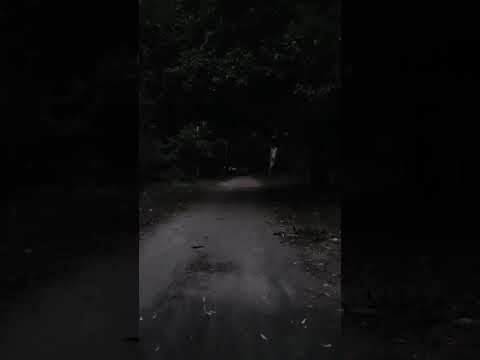 Devil Sound Ghost Devil Scary Horrorshorts Pratham Zombiesurvival 