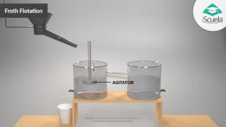 froth flotation