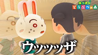 島に迷い込んできた住民に煽られすぎて発狂。【あつまれどうぶつの森 / あつ森】