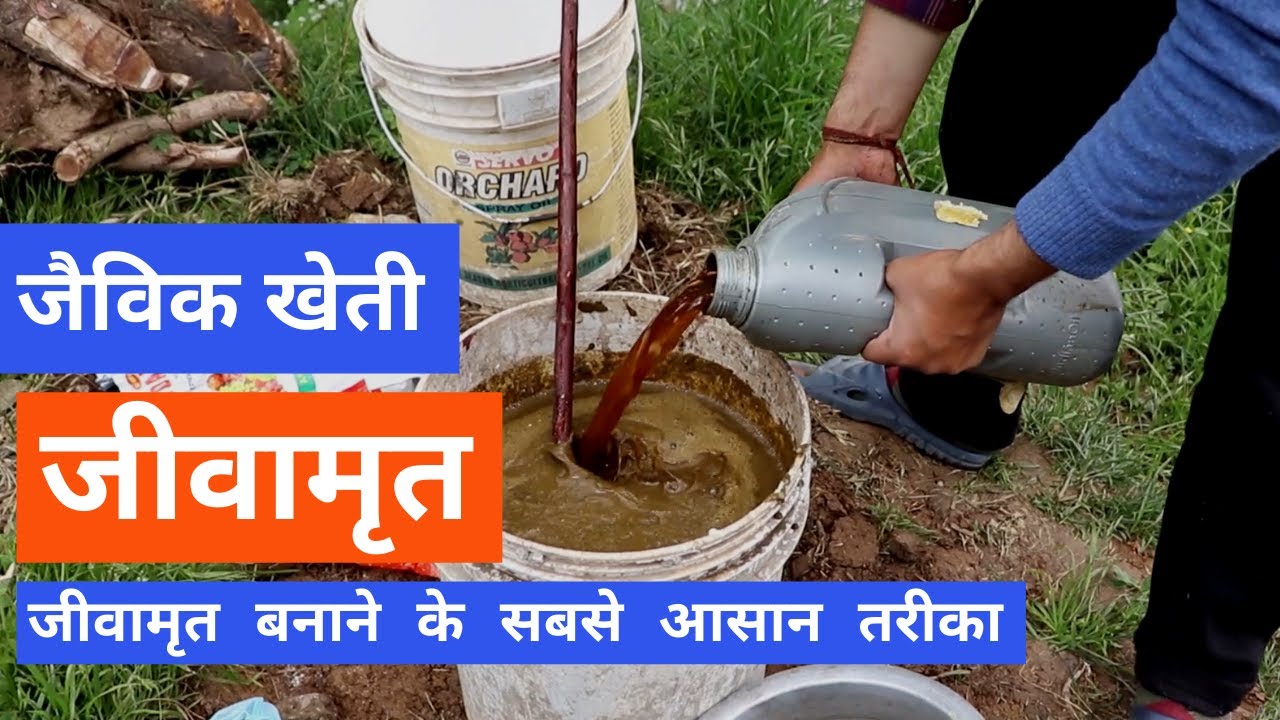 जीवामृत बनाने का सरल आसान तरीका | Organic Farming |  How to Prepare Jeevamrit in 10 Minutes