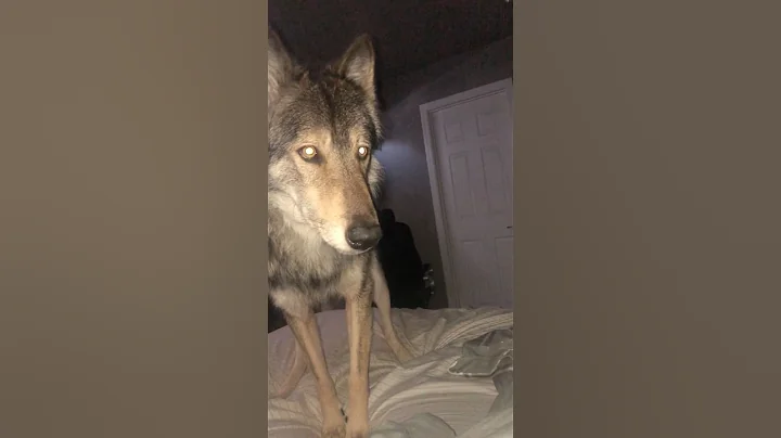 Always Ready to Relapse