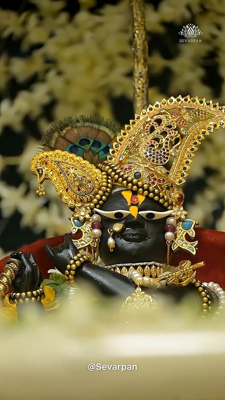 Laddu Gopal bhakti - ShareChat