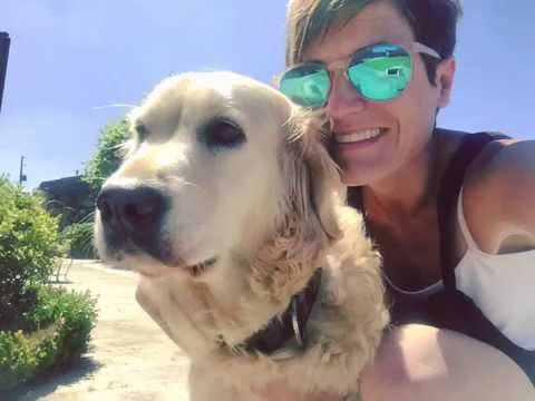 Mi camino de Santiago con Nala (BSO: "Volveré" de Jurro Pizarro y De Otra Manera)