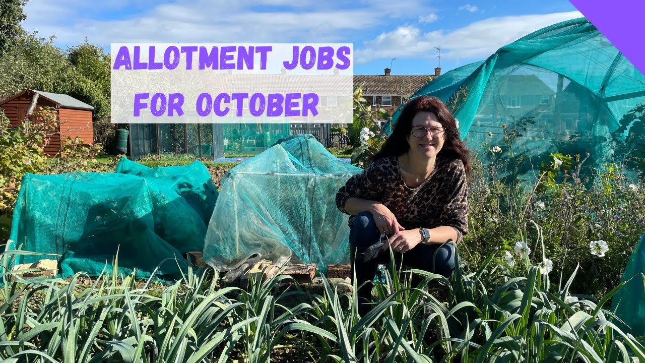 Allotment Jobs For October - Allotment Gardening For Beginners UK - YouTube