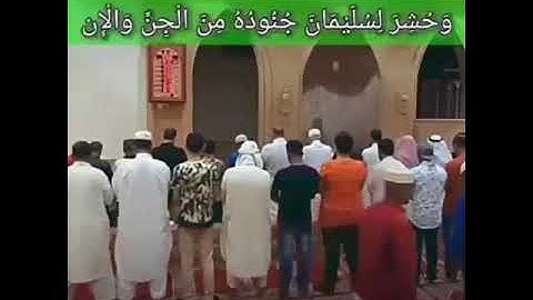 { و حشر لسليمان جنوده من الجن والانس } #سورة_النمل