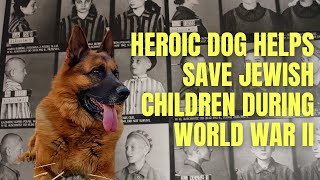 Irena Sendler and Dog Saves Children During World War II