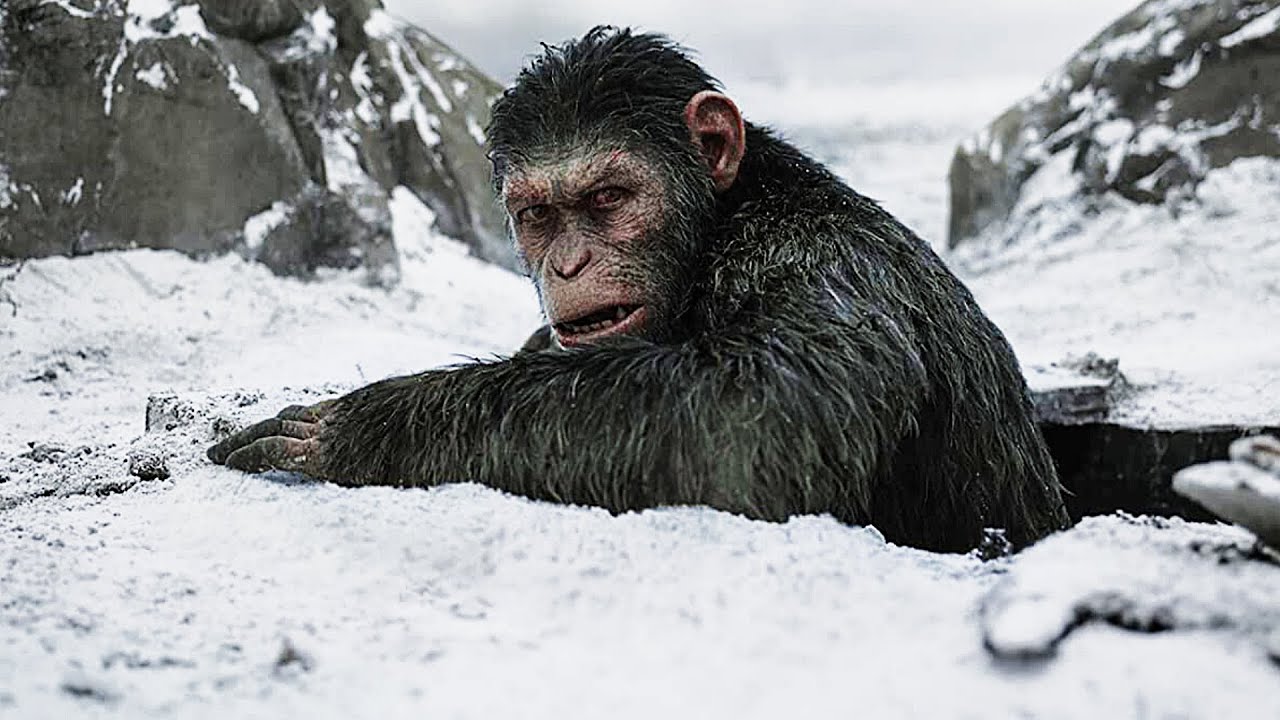 youtube war for the planet of the apes full movie youtube war for the planet of the apes full movie
