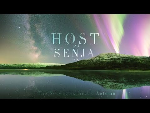 HØST PÅ SENJA