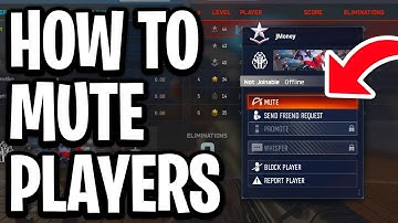 How To Mute Players In Game On COD Black Ops 7 - Full Guide