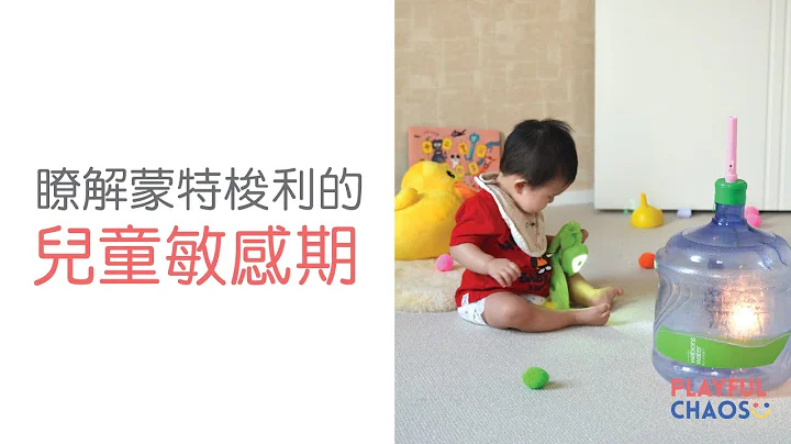 【在家蒙特梭利】儿童敏感期 - Montessori Sensitive Periods - 天天要闻