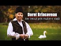 Dorel Brincoveanu - Am trecut prin mulce-n viata