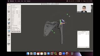 use pivot in MeshMixer