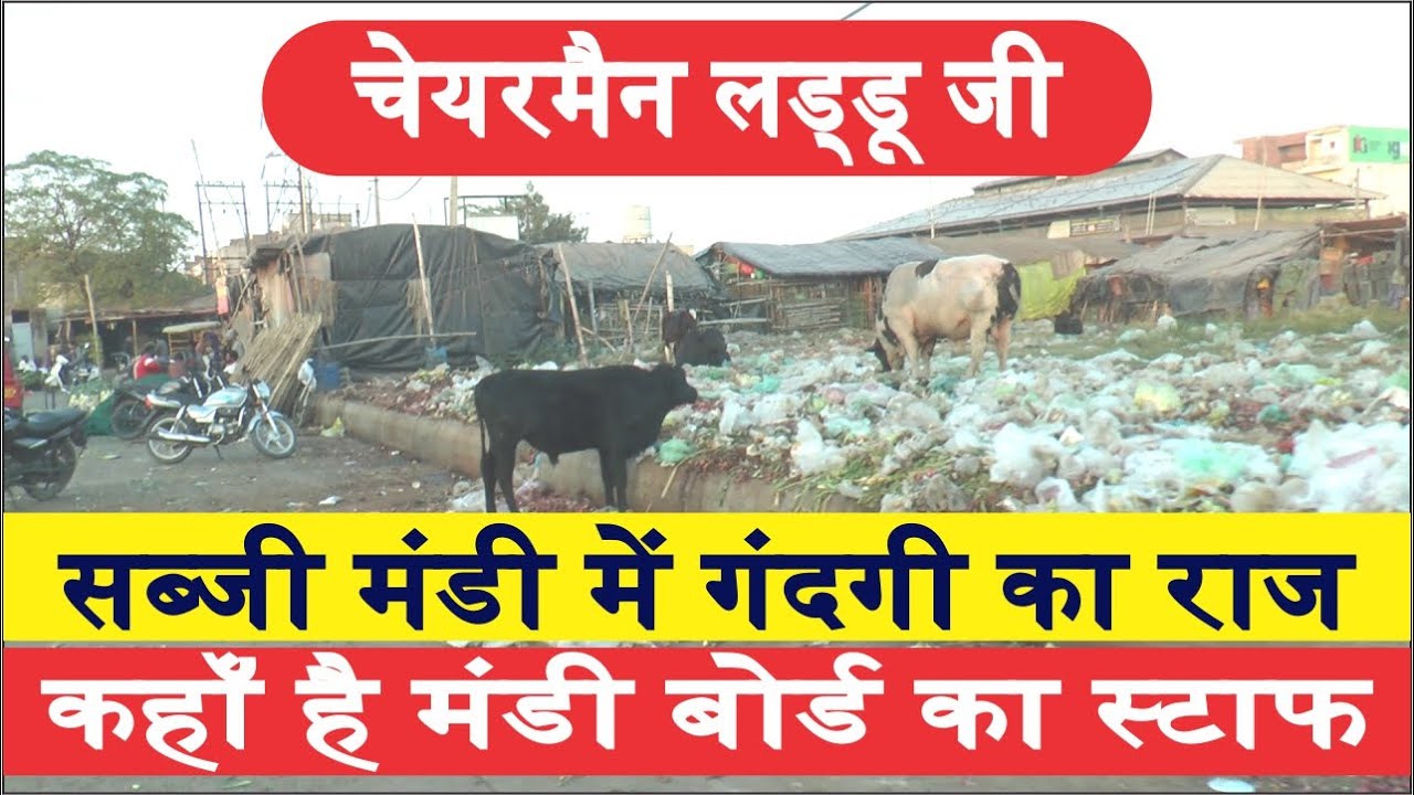 Ludhiana City Vegetables Wholesale Markets Dirtiness, Debris Bad