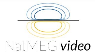 NatMEG lecture: Current dipole models in MEG by Matti Hamalainen