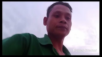 Burung belibis alis kuning masih terang kena pulut rombongan