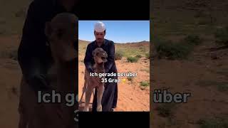 sauwarm #shorts #spass #Spaß #comedy #viral #funnyvideos #funny #fun #funnyvideo #lachen #funny #fun