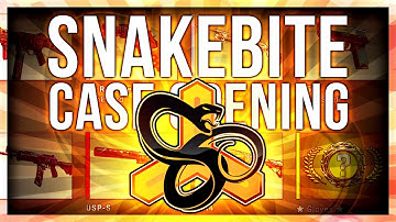 SNAKEBITE CASE UNBOXING (NEW CS:GO CASE)