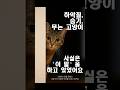 하악질하고, 숨어버리고, 괜히 물기까지… #고양이 #냥춘기#cat