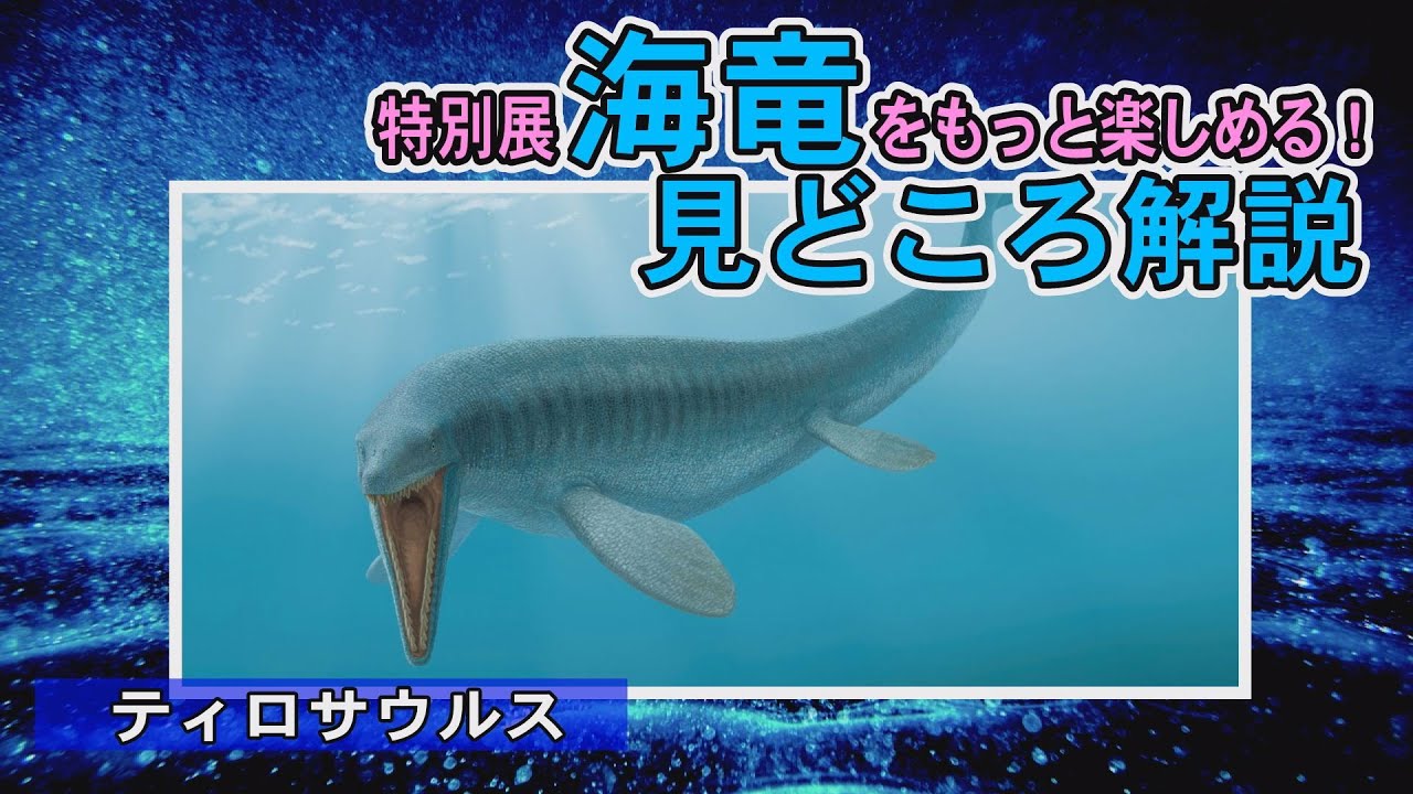 特別展「海竜」展示紹介 4．ティロサウルス - YouTube