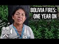 Bolivia fires: one year on | WWF