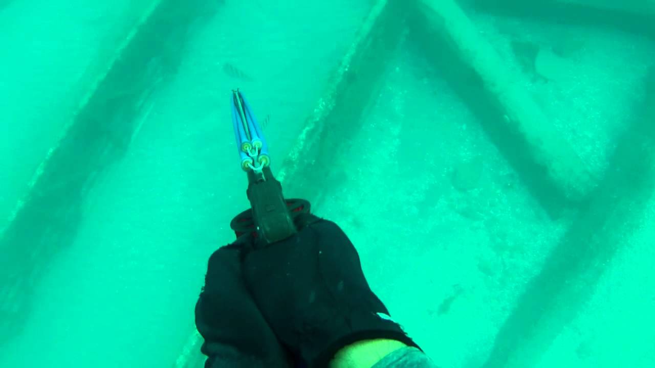 Spearfishing Off Of Jupiter Inlet Youtube