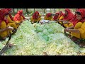 140 KG CABBAGE ELISH Masala Gravy Recipe - Hilsa Fish & Cabbage GHONTO Cooking in Village